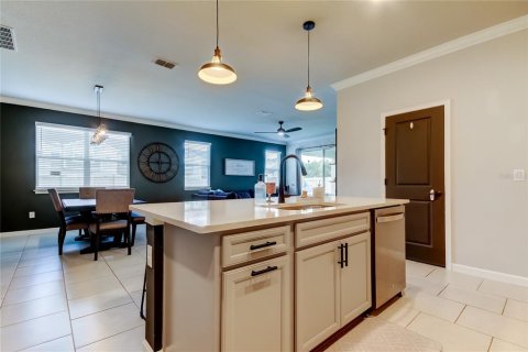 House in Lutz, Florida 4 bedrooms, 217.39 sq.m. № 1757879 - photo 21