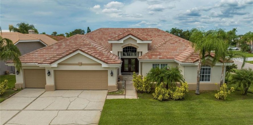 House in Tampa, Florida 4 bedrooms, 314.1 sq.m. № 733458