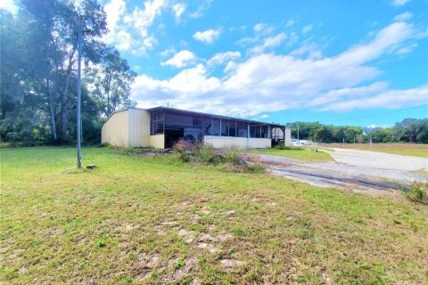Immobilier commercial à vendre à San Mateo, Floride: 356 m2 № 1813597 - photo 3