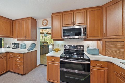 Villa ou maison à vendre à Parrish, Floride: 4 chambres, 317.45 m2 № 1900909 - photo 19