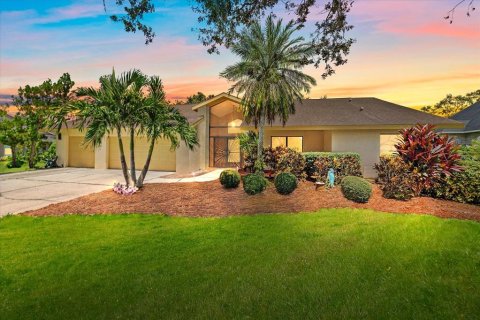 Villa ou maison à vendre à Parrish, Floride: 4 chambres, 317.45 m2 № 1900909 - photo 1