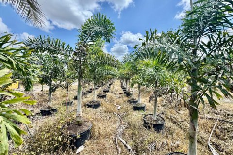 Immobilier commercial à vendre à Homestead, Floride № 1992663 - photo 24