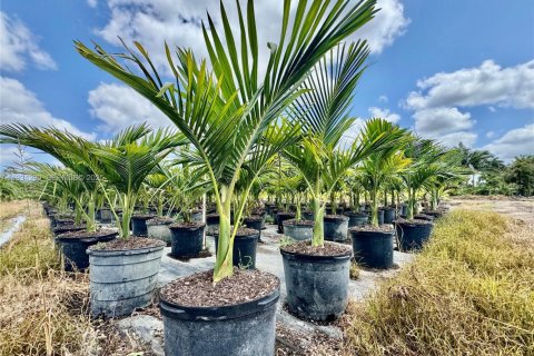 Immobilier commercial à vendre à Homestead, Floride № 1992663 - photo 23