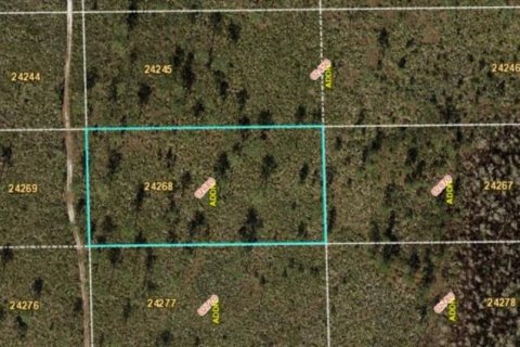 Купить земельный участок в Орландо, Флорида № 2165565 - фото 3