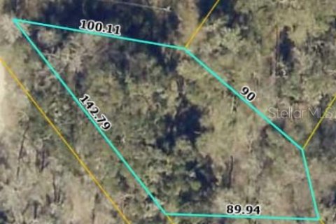 Land in Webster, Florida № 2329744