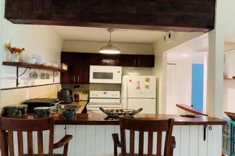 Apartamento en alquiler en Hollywood, Florida, 2 dormitorios, 82.13 m2 № 1993147 - foto 7