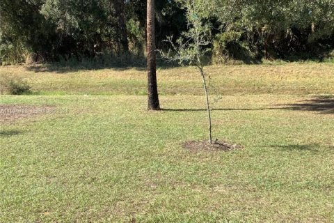 House in LaBelle, Florida 3 bedrooms № 1994664 - photo 13