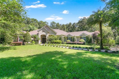 Villa ou maison à vendre à DeLand, Floride: 5 chambres, 319.86 m2 № 1918616 - photo 1