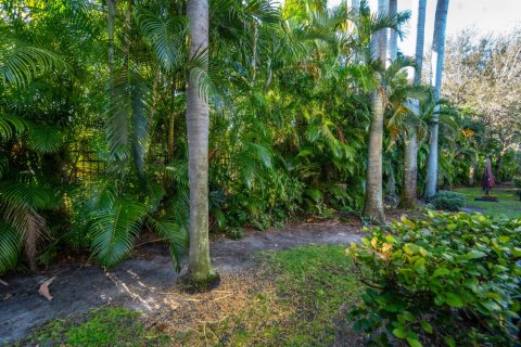 Touwnhouse à louer à Riviera Beach, Floride: 2 chambres, 113.99 m2 № 2084226 - photo 15