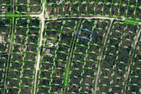 Land in Lake Placid, Florida № 2162408