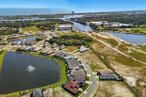 Land in Palm Coast, Florida № 1905464 - photo 10