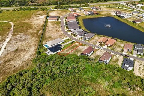 Land in Palm Coast, Florida № 1905464 - photo 5