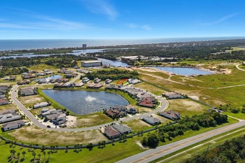 Land in Palm Coast, Florida № 1905464 - photo 9