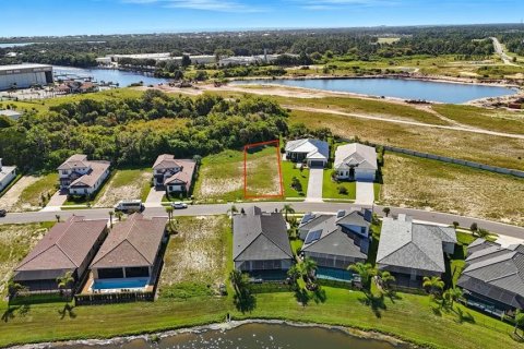Land in Palm Coast, Florida № 1905464 - photo 3