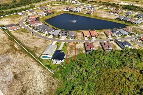 Land in Palm Coast, Florida № 1905464 - photo 6