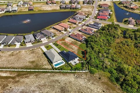 Land in Palm Coast, Florida № 1905464 - photo 7
