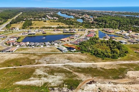 Land in Palm Coast, Florida № 1905464 - photo 8