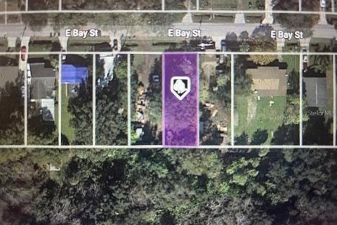 Land in Winter Garden, Florida № 1724077 - photo 2