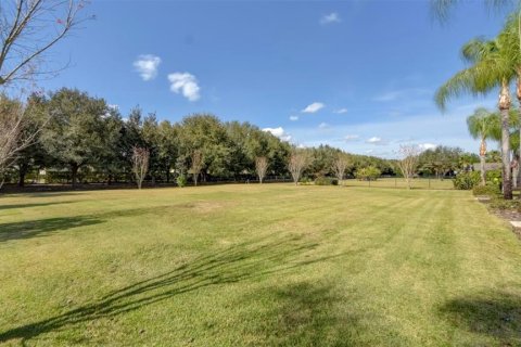 Casa en alquiler en Fish Hawk, Florida, 4 dormitorios, 240.9 m2 № 1806850 - foto 5