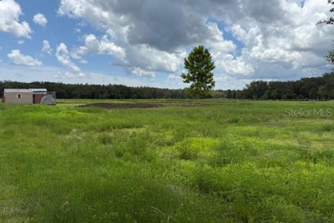 Land in Bunnell, Florida № 1806767 - photo 12