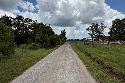 Land in Bunnell, Florida № 1806767 - photo 5