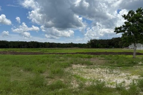 Land in Bunnell, Florida № 1806767 - photo 17