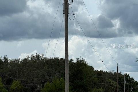 Land in Bunnell, Florida № 1806767 - photo 7