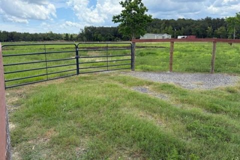 Land in Bunnell, Florida № 1806767 - photo 3