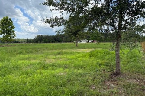 Land in Bunnell, Florida № 1806767 - photo 10