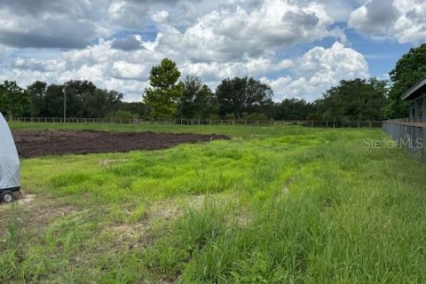 Land in Bunnell, Florida № 1806767 - photo 9