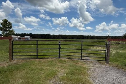 Land in Bunnell, Florida № 1806767 - photo 2