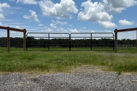 Land in Bunnell, Florida № 1806767 - photo 1