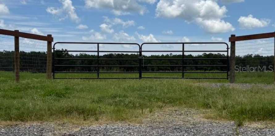 Land in Bunnell, Florida № 1806767