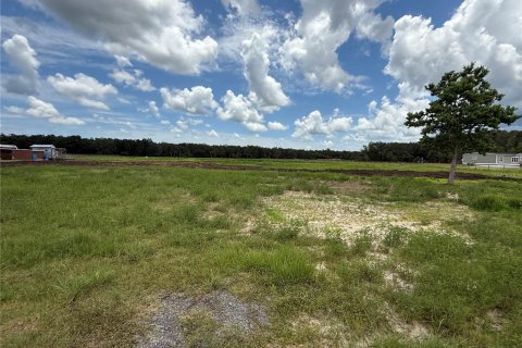 Land in Bunnell, Florida № 1806767 - photo 14