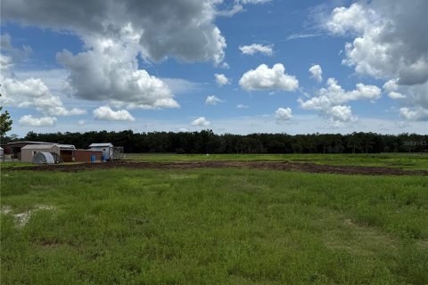 Land in Bunnell, Florida № 1806767 - photo 6