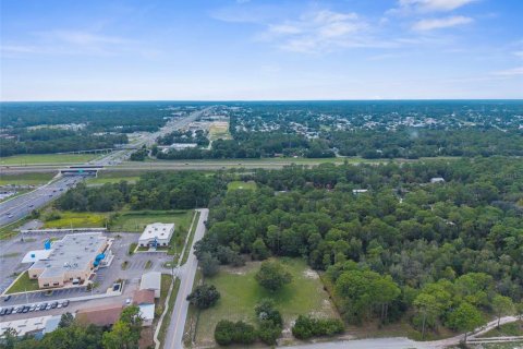 Terreno en venta en Brooksville, Florida № 1917312 - foto 5