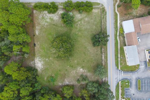 Terreno en venta en Brooksville, Florida № 1917312 - foto 13