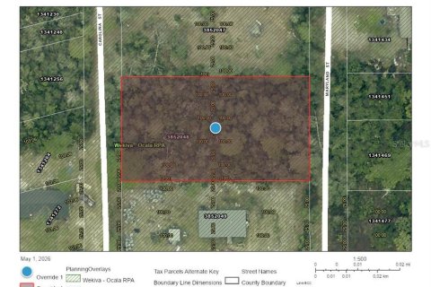 Land in Paisley, Florida № 2166698