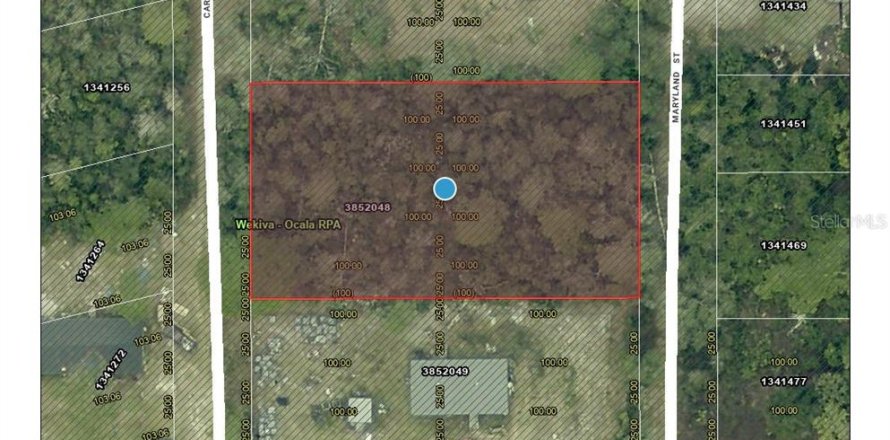 Land in Paisley, Florida № 2166698