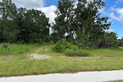 Land in Wildwood, Florida № 1853538 - photo 5