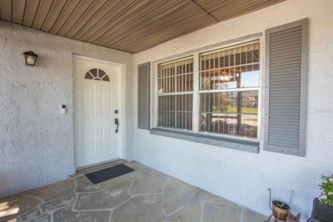 Villa ou maison à vendre à Tarpon Springs, Floride: 3 chambres, 92.9 m2 № 1846723 - photo 3