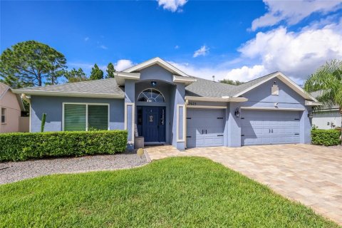 Villa ou maison à Apollo Beach, Floride 4 chambres, 243.31 m2 № 2427354