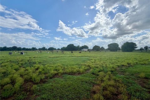 Land in Wauchula, Florida № 2239804 - photo 7