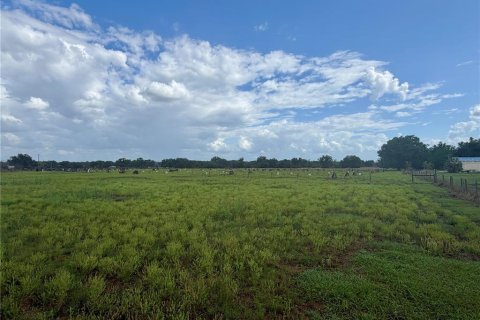Land in Wauchula, Florida № 2239804 - photo 10