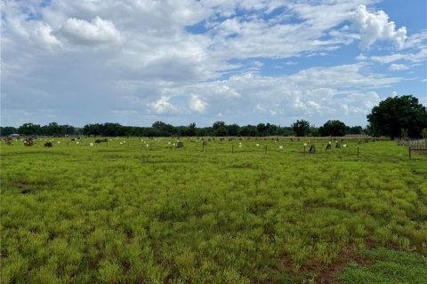 Land in Wauchula, Florida № 2239804 - photo 9