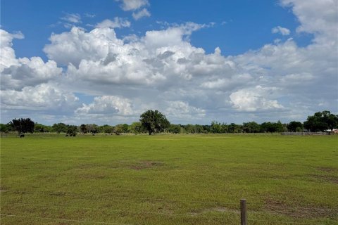 Land in Wauchula, Florida № 2239804 - photo 4