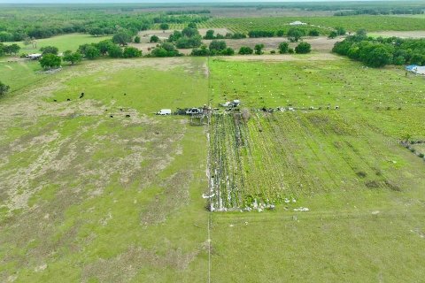 Land in Wauchula, Florida № 2239804 - photo 3