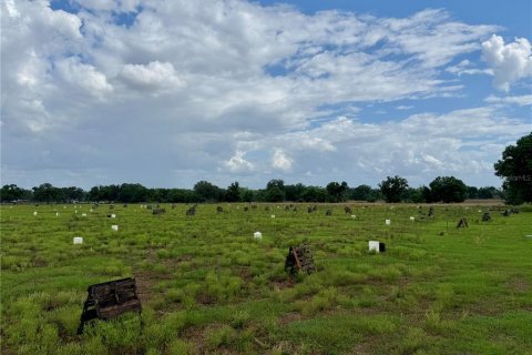 Land in Wauchula, Florida № 2239804 - photo 12