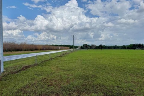 Land in Wauchula, Florida № 2239804 - photo 6