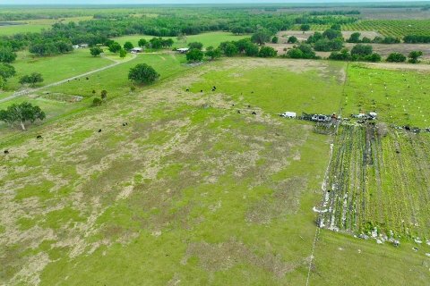 Land in Wauchula, Florida № 2239804 - photo 2
